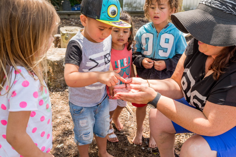 kindergarten kids looking at a bug in adult hands