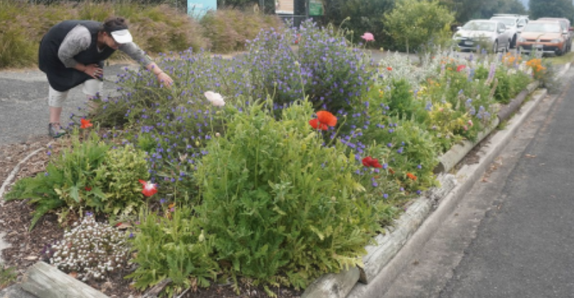 Berm and bumble bees