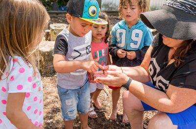 kindergarten kids looking at a bug in adult hands