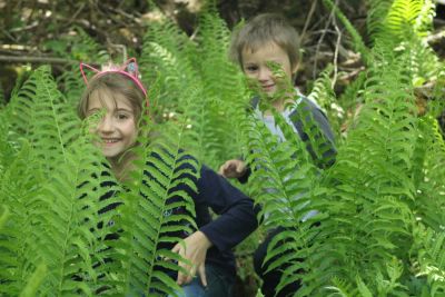 two children hiding behind ferns