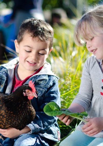 Boy holding a black chicken 